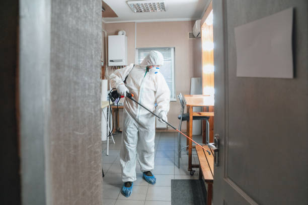 Best Forensic Mold Investigation  in Old Mystic, CT