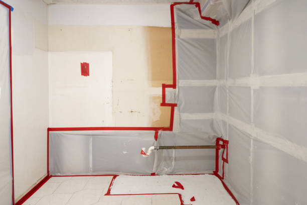 Best Mold Documentation for Insurance Claims  in Old Mystic, CT