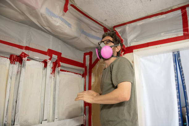 Best Air Quality Testing for Mold Spores  in Old Mystic, CT