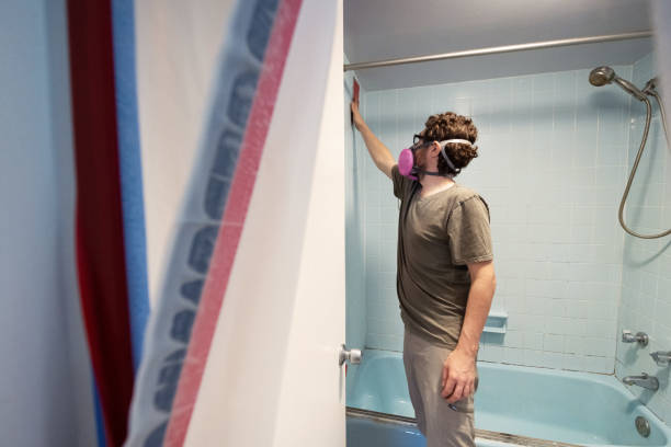Best Industrial Mold Remediation  in Old Mystic, CT