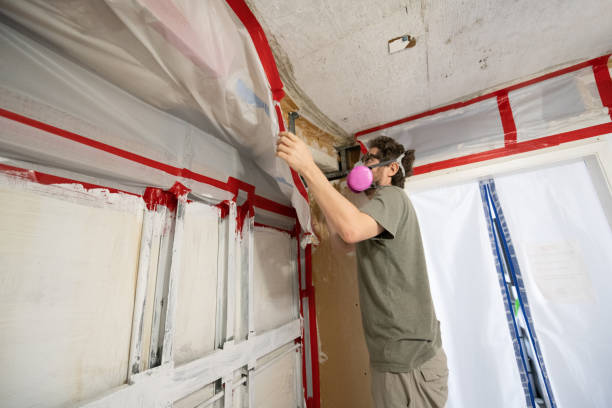 Best Mold Remediation for Vacation Homes  in Old Mystic, CT