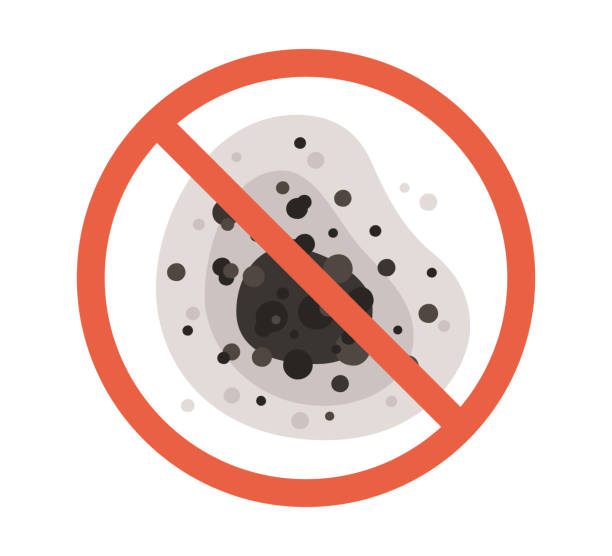 Best Residential Mold Inspection & Testing  in Old Mystic, CT