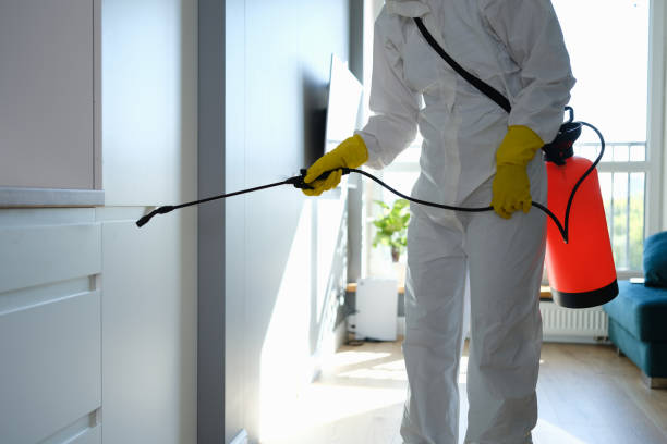 Best Airborne Mold Testing  in Old Mystic, CT