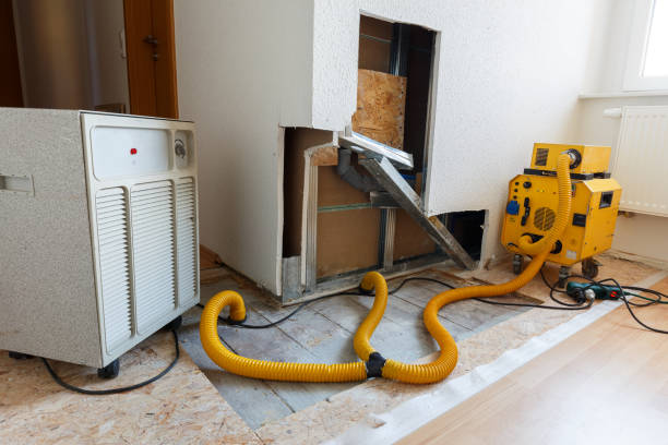 Best Asbestos and Lead Testing During Mold Inspection  in Old Mystic, CT